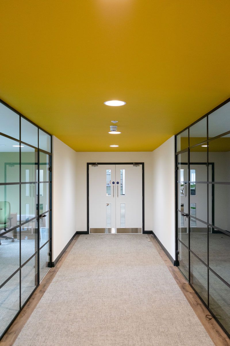 statement-yellow-ceiling-and-crittal-windows